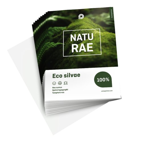 Flyers eco-/natuurpapier, A4, enkelzijdig bedrukt 2